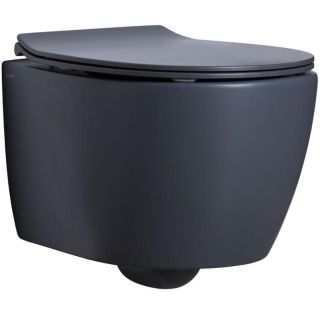 Подвесной унитаз Allen Brau Fantasy 4.11004.AN безободковый антрацит